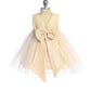 Lace Sequin Back V Baby Dress